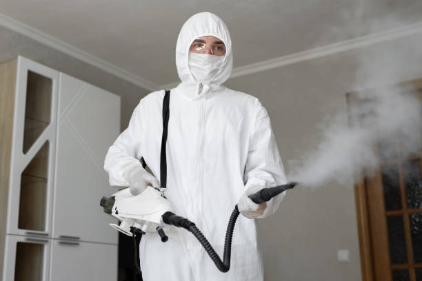 Best Emergency Mold Remediation  in Stockton, KS